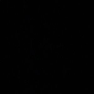 Meet your Posher, Daniela